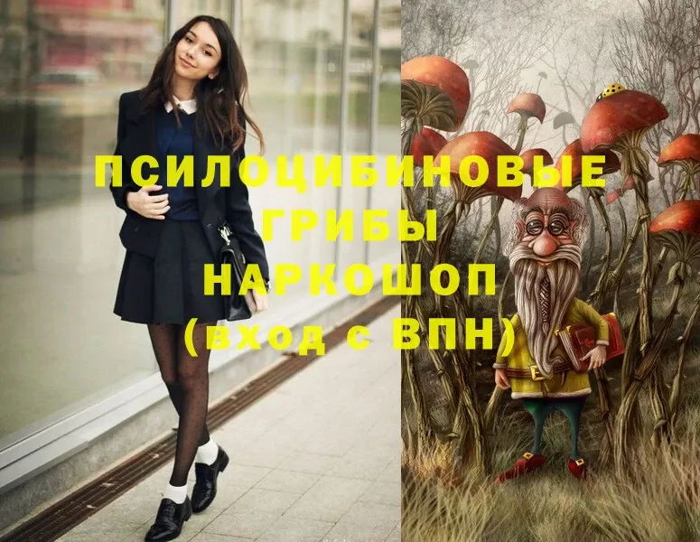 Псилоцибиновые грибы Psilocybe Хотьково