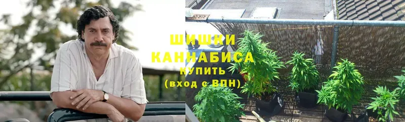 где продают   Хотьково  Шишки марихуана THC 21% 